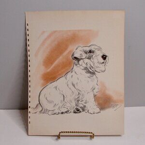 Vintage White Sealyham Terrier Dog Print by Diana Thorne An Album of Drawings